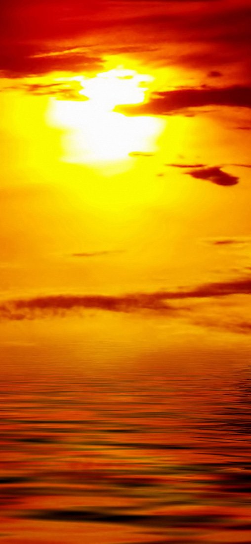 PeelitStickit Dolphin Underwater, Undersea Wall Murals ID-021, vinyl