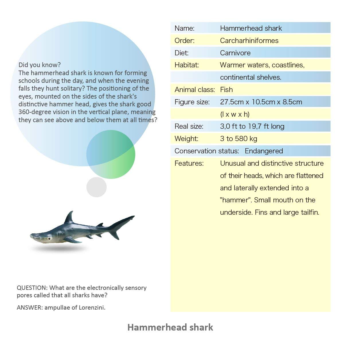 RECUR Toys Hammerhead Shark Figure Toys, Hand-Painted Skin Texture Ocean Shark Figurine Collection-10.8inch Realistic Design Shark Replica 1:15 Scale, Gift for Collectors and Boys Kids , Ages 3 And Up