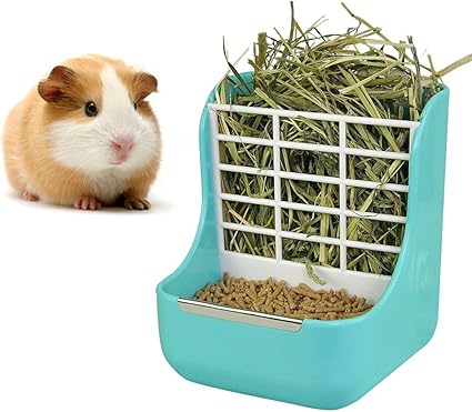 Amazon Com Sxbest 2 In 1 Food Hay Feeder For Guinea Pig Rabbit