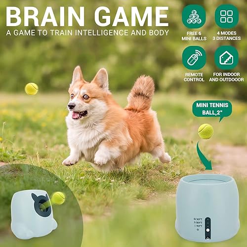 Automatic Ball Launcher for Dogs Ball Thrower Automatic Chuckit