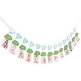 Golf 12 Monthly Photo Banner - Hole In One Monthly Photo Banner,Newborn To 12 Months Banner,Baby's First Year Golf Themed Birthday(blue)