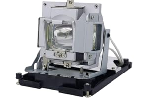 GOLDENRIVER BL-FS300C Projector Lamp Assembly with Original Bulb and Generic Housing Compatible with Optoma TH1060P TX779P-3D