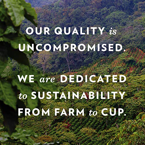 COMMUNITY COFFEE PREMIUM GROUND COFFEE, SIGNATURE BLEND, DARK ROAST, 12 OUNCE (PACK OF 1)