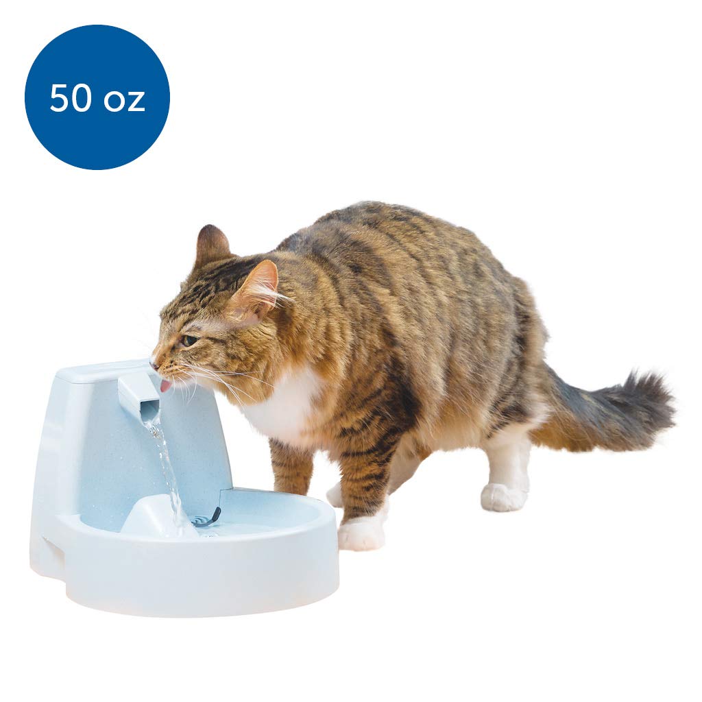 best cat and dog water fountain