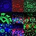 Music Baby Night Light, SlowTon Newest Musical Rotating Projector with Animal Forest Food Patterns Starry Bedroom Romantic (Black with Music)