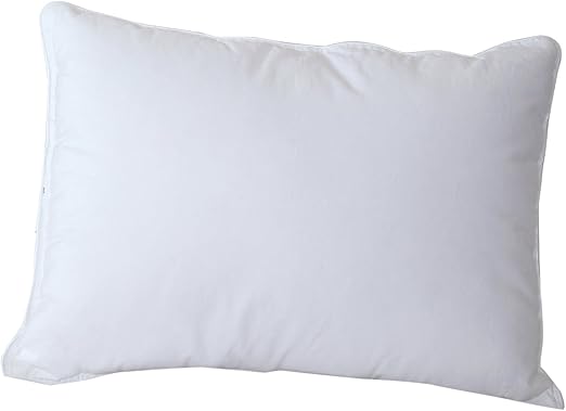 Amazon Com Cloud Nine Comforts Micro Loft Pillow Boudoir White