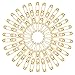 Golden Safety Pin Set of 110,Saree Pin Set,Safety Pins,Safety Pins - Large Safety Pins for Garment Repair, Quilting, Jewelry Making
