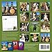 Wine Dogs USA 2015 Calendar