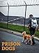 Prison Dogs