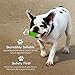 Fluffy Paws Squeaky Rubber Dog Toy - Durable Squeaky Bone-Shaped Puppy Toy, Rubber Dental Chew Toy for Small and Medium Dog Puppy - 5.6