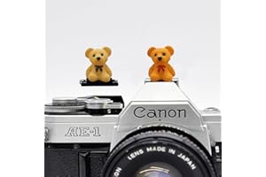 ZOSTLAND Lovely Slr Camera Hot Shoe Boot Cover Cap, Brown Bear Shoe Protector,Compatible with Sony Fuji Canon Nikon Pentax Leical. (2pcs Bear)
