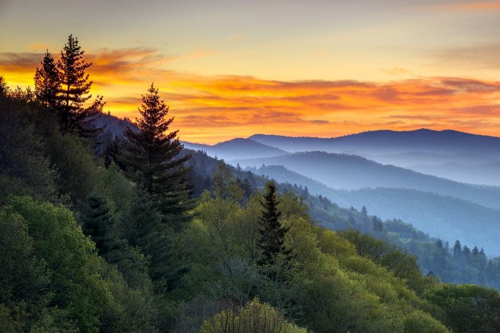 Photographs - Great Smoky Mountains National Park Sunrise Photo Photograph Beach Sunset Palm Landscape Pictures Ocean Scenic Tropical Nature Photography Paradise Thick Paper Sign Print Picture 12x8