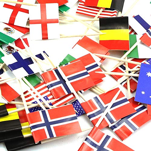 Hslife 200Pcs Different Countries World Flag Sticks Toothpick Flag Cocktail Sticks Cupcake Picks for Bar,Sports Party,Events Decoration