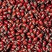 1500 Live Ladybugs - Beneficial Insects - Fresh Premium Young Ladybugs - Delivered to You Alive Guaranteed - Great for Your Gardens Health - Natural Earth Friendly Green Pest Control 4 You