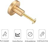 Yibaijia Brass Round Cabinet Knobs 4 Pack 20mm 25mm Screws Gold view 3