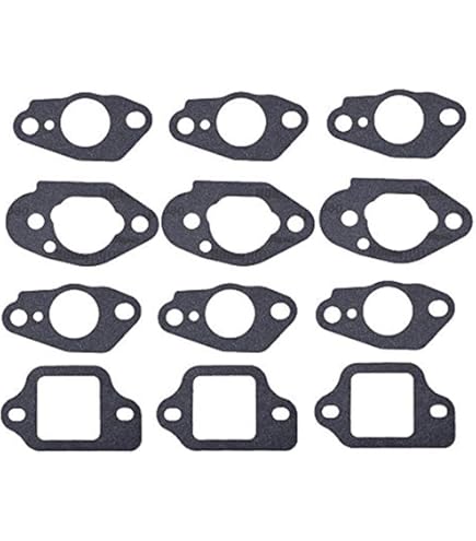Amazon.com: Genuine Gasket Kit 16010-Z9L-811 for Honda GCV170