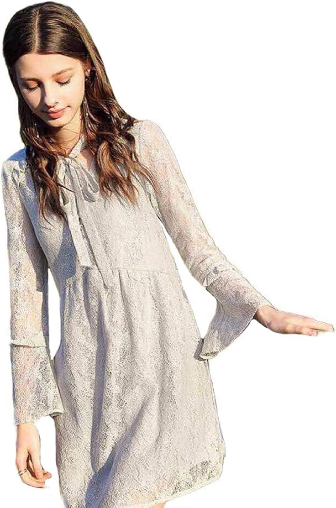 Amazon Hr株式会社 ワンピース 春 レディース レース きれいめ 長袖 ドレス エレガント 可愛い 着痩せ ハイウェスト フォーマル 結婚式 パーティー 通勤 気質up 透け感 ワンピース チュニック 通販