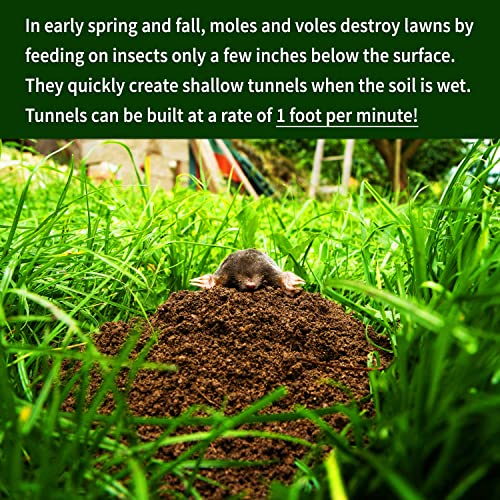Nature's MACE Mole & Vole Repellent 22lb Granular/Covers 17,600 Sq. Ft. / Keep Moles & Voles Out