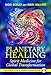Planetary Healing: Spirit Medicine for Global Transformation by Nicki Scully, Mark Hallert