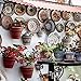16 Pieces 6 Inch Invisible Plate Hangers Wall Plate Hangers Brass Wire Plate Holders with 18 Pieces Wall Hooks for 5 to 7 Inch Decorative Plates Antique Plates and Arts