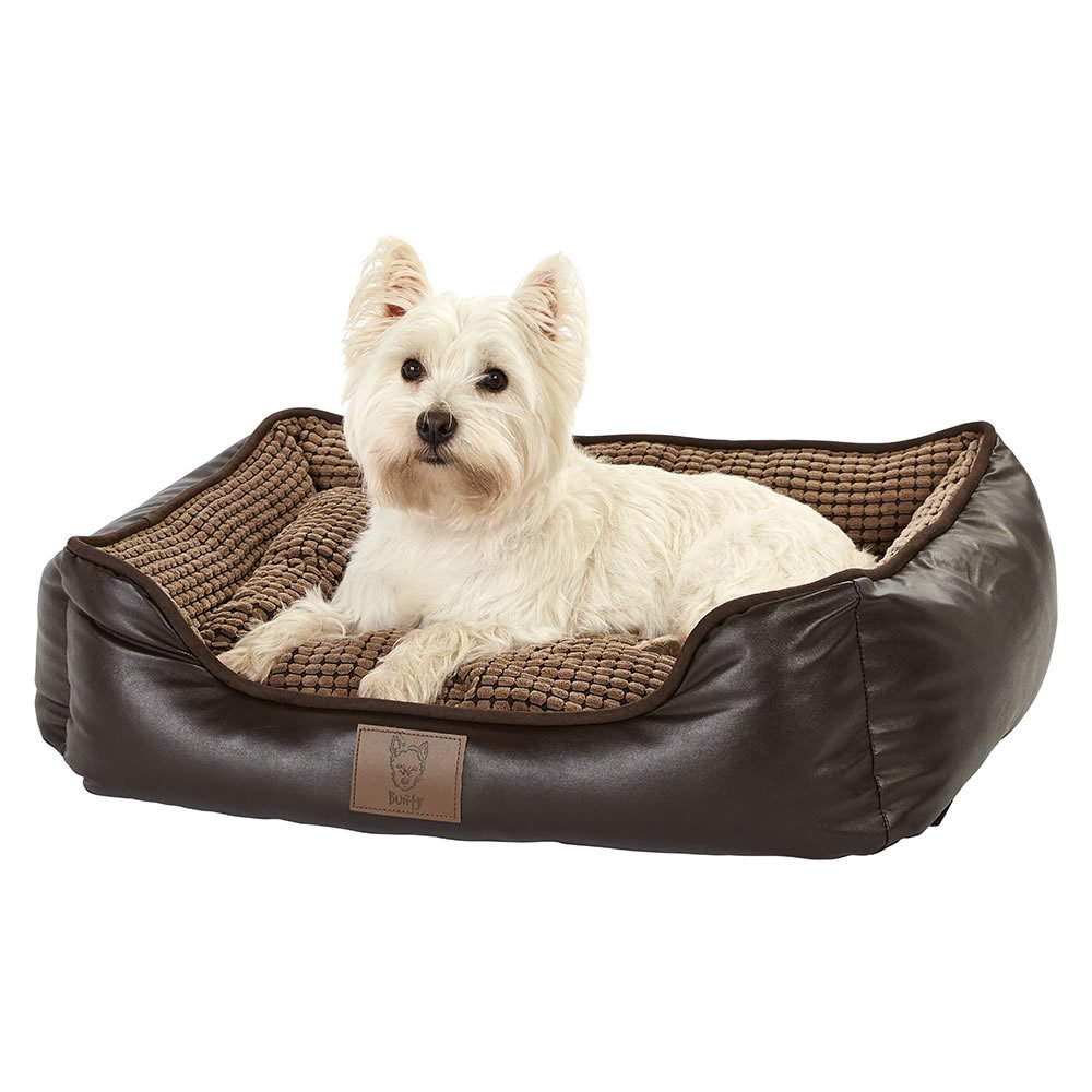 bunty raised dog bed
