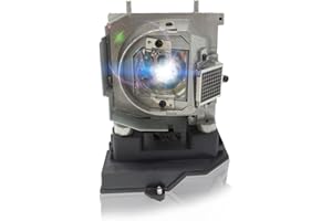 GOLDENRIVER NP20LP Projector Replacement Lamp with Housing Compatible with NEC U300X / U310W / U300XG / U310WG / U310W-WK1