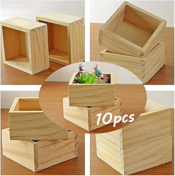 Weanty - 10 cajas cuadradas para plantas, jardinería, suculentas