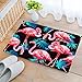 Eanpet Front Door Mat Outdoor Flamingo Rug 2x3 Modern Area Rug Rubber Pretty Mat Non Slip Indoor Outdoor Doormat Waterproof Shoes Scraper Entryway Rug Home Decor Exterior Welcome Mat Black1