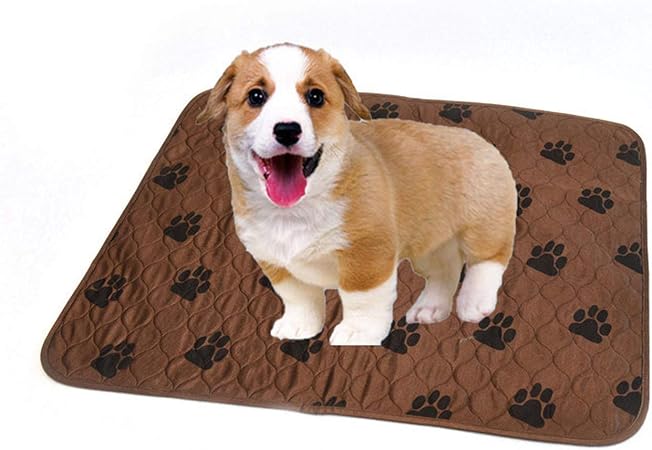 dog yoga mat