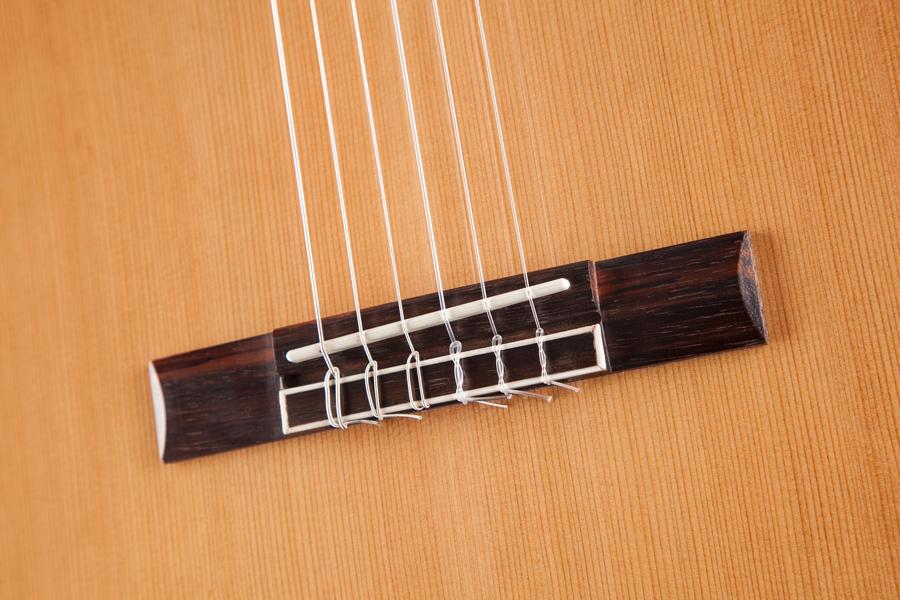 Jasmine 6 String AcousticElectric Guitar, Right Handed