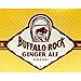 Buffalo Rock Ginger Ale (12 Count, 12 Fl Oz Each)