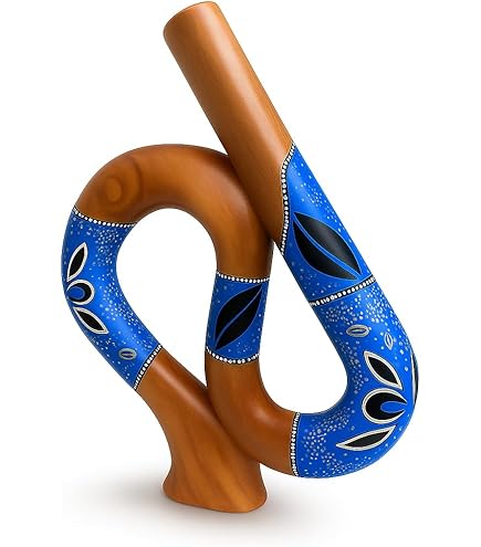 Amazon.com: Z-shaped Professional Didgeridoo for Meditation, Sound