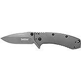 Kershaw Cryo Pocket Knife, EDC Knife with Speedsafe Assisted Opening, 2.75 Inch Stainless Steel Blade, Multiple Styles