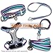 Blueberry Pet Soft & Comfy 3M Reflective Dog Harness Vest | Mesh Padded No Pull Dog Harness w/Back Clips | Multi-Colored Stripe - Violet and River Blue | Reflective Dog Harness for Medium Dogs