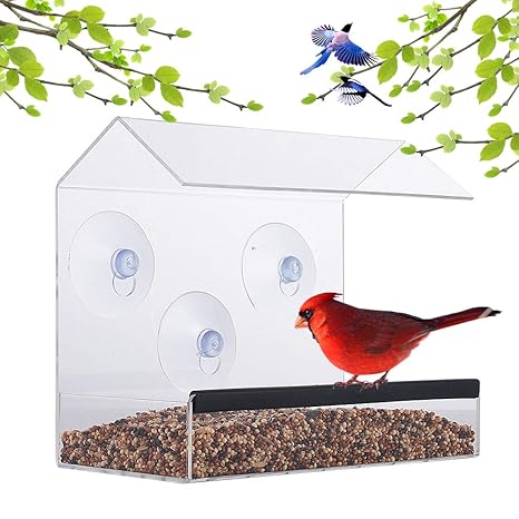 Window Bird Feeder Acrylic Clear Bird Feeders Bird Safe