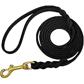 LWBMG Leather Dog Leash for Small Dogs 6ft,Thin Leather Braied Dog Leash, Soft Genuine Leather Dog Training Leash for Small & Medium Dogs (3/8" X 6', Black)