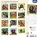 Longhaired Dachshunds 2017 Wall Calendar