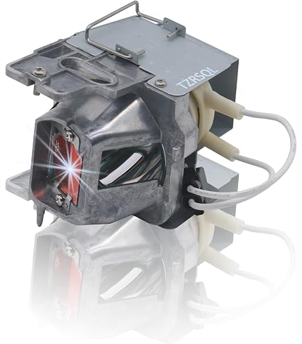 Amazon.com: CTLAMP NP21LP / 60003224 Original Projector Lamp