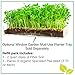 Window Garden Microgreen Organic Pea Shoot 3 Pack Refill – Use with Grow n Serve Kit, Multi-Use 15” x 6” Planter Tray, Pre-measured Soil + Seed. Easy and Convenient, Sprout 3 Crops of Superfood Greens