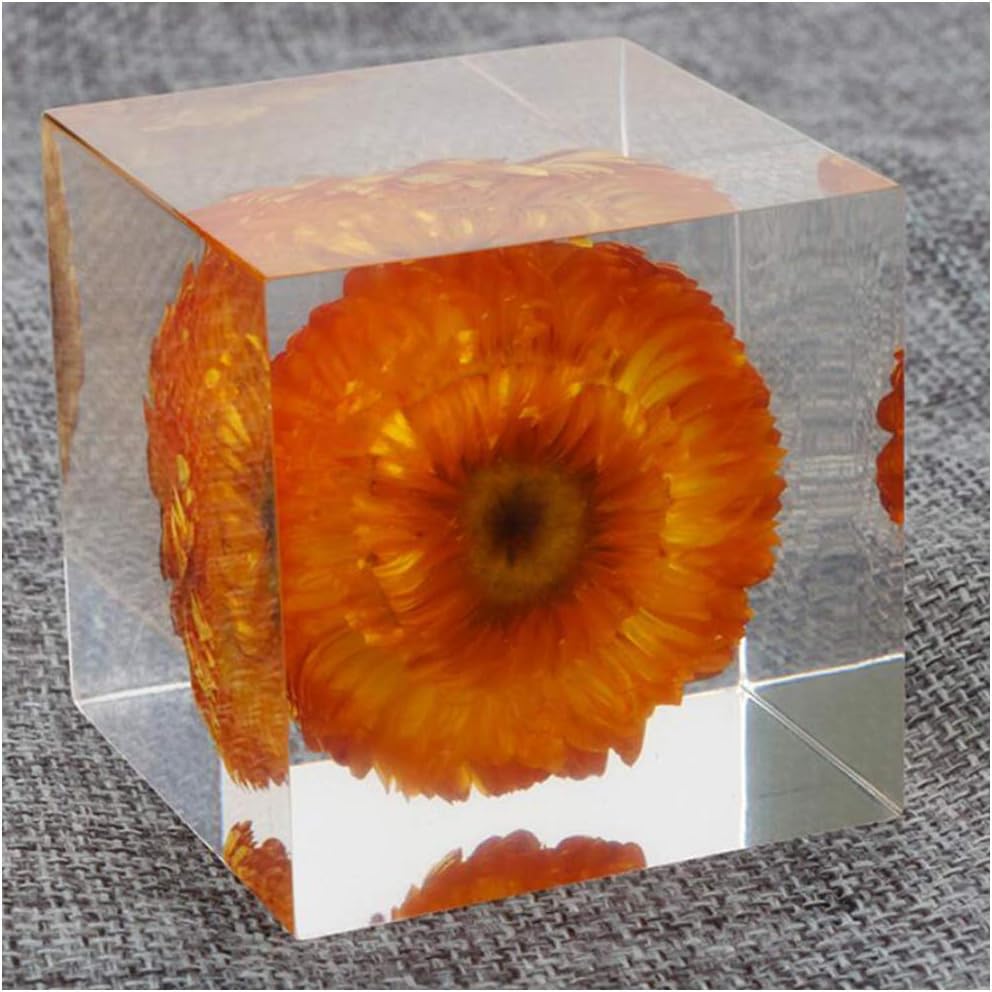 LUCKFY Plant Resin Specimen Chrysanthemum