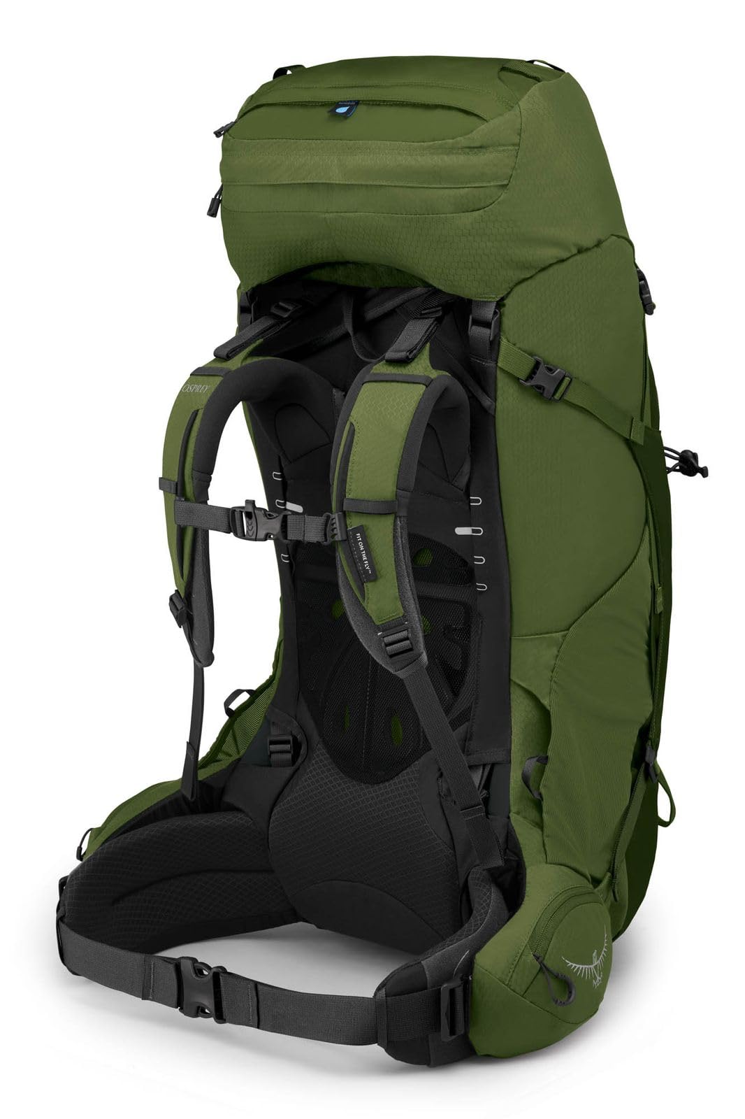 Osprey Aether 65L Men's Backpacking Backpack, Garlic Mustard Green, L/XL