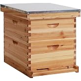Walsport Bee Hive Box with Observation Window, 10 Frame Beeswax Coated Bee Hive Starter Kit for Beginners Beekeepers (1 Deep Box &amp; 1 Medium Boxes)