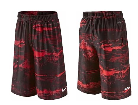 lebron shorts