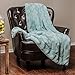 Chanasya Premium Soft Wave Faux Fur Throw Blanket - Soft, Lightweight Reversible Sherpa & Minky Blanket - 50
