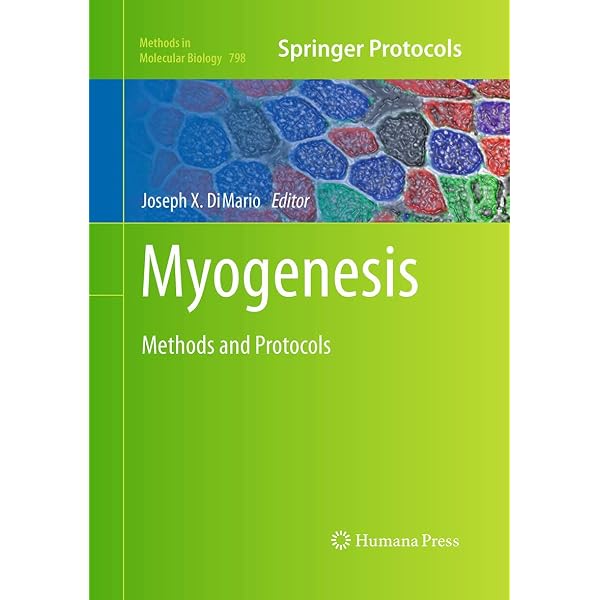 Molecular Motors: Methods and Protocols (Methods in Molecular
