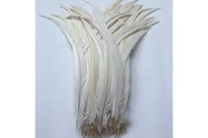 Sowder Off White Rooster Coque Tail Feathers 16-18inch Lengh Pack of 20