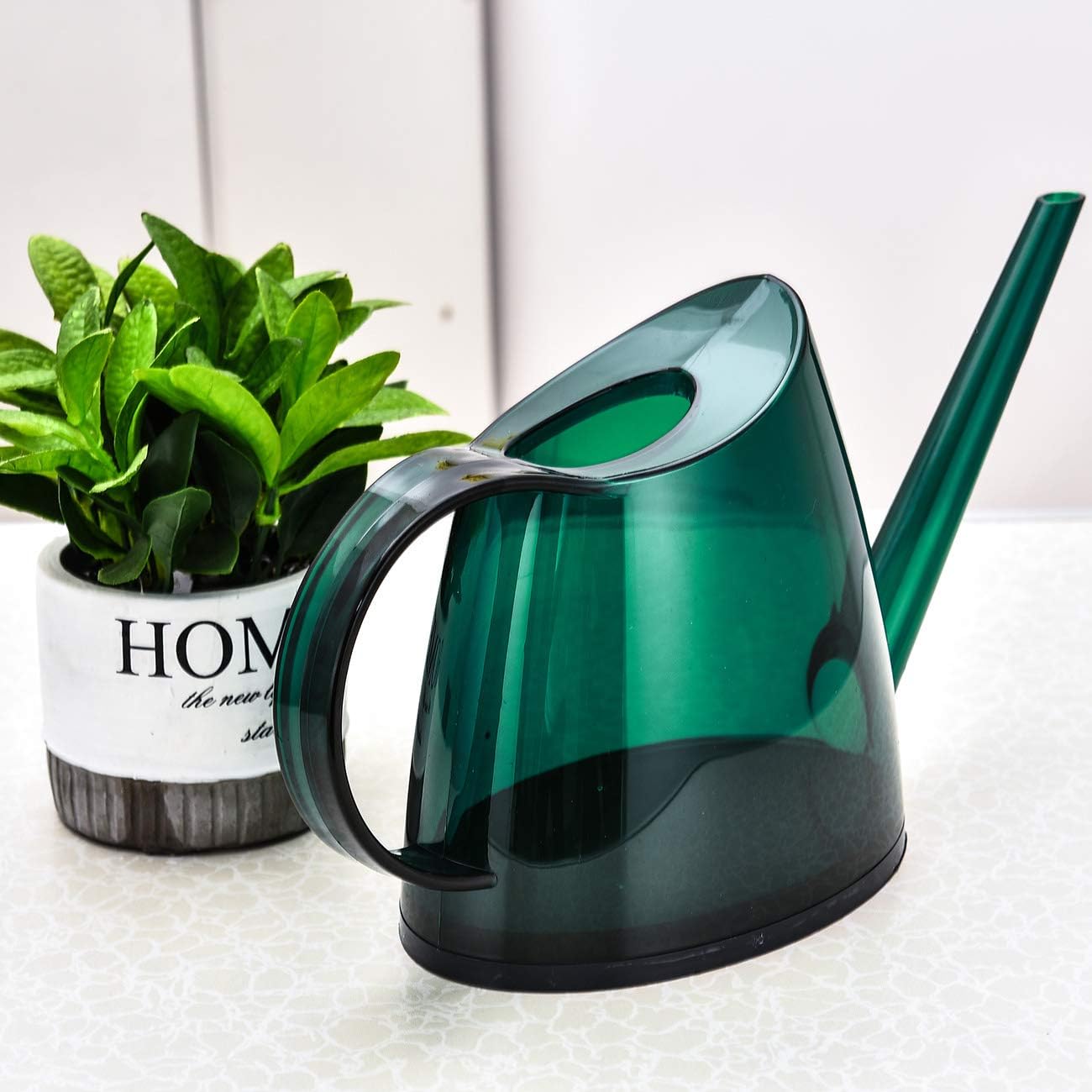 NERUB Indoor Watering Can for House Bonsai Plants, Small Watering Can with Long Spout Succulents Decorative Garden Flower 1/3 Gallon 1.4 L Modern Watering Pot Green : Garden & Outdoor