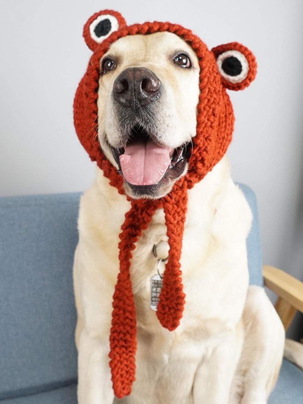 10 Mejores Sombreros Para Labradores (2021)