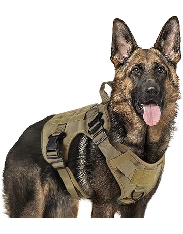 amazon k9 harness