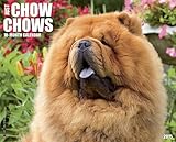 Just Chow Chows 2015 Wall Calendar